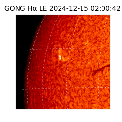 gong - 2024-12-15T02:00:42