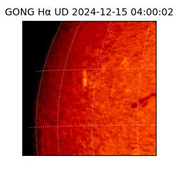 gong - 2024-12-15T04:00:02