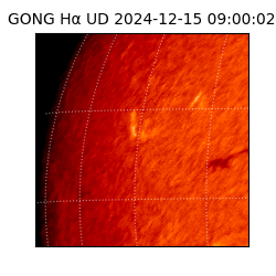 gong - 2024-12-15T09:00:02