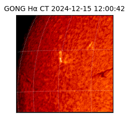 gong - 2024-12-15T12:00:42