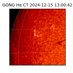 gong - 2024-12-15T13:00:42