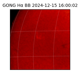 gong - 2024-12-15T16:00:02