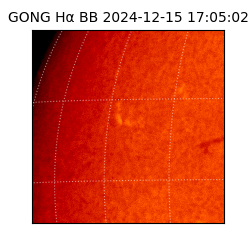 gong - 2024-12-15T17:05:02