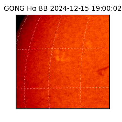 gong - 2024-12-15T19:00:02