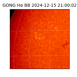 gong - 2024-12-15T21:00:02