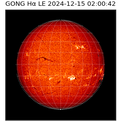 gong - 2024-12-15T02:00:42