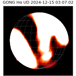 gong - 2024-12-15T03:07:02