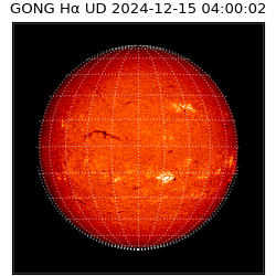 gong - 2024-12-15T04:00:02