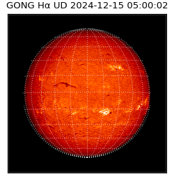 gong - 2024-12-15T05:00:02