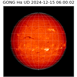 gong - 2024-12-15T06:00:02