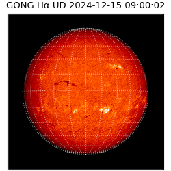 gong - 2024-12-15T09:00:02