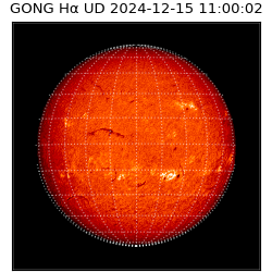 gong - 2024-12-15T11:00:02