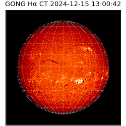 gong - 2024-12-15T13:00:42