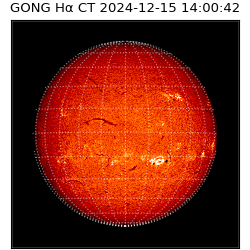 gong - 2024-12-15T14:00:42