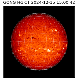 gong - 2024-12-15T15:00:42