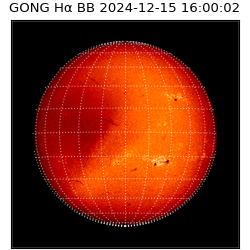 gong - 2024-12-15T16:00:02