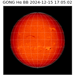 gong - 2024-12-15T17:05:02