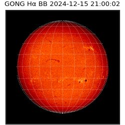 gong - 2024-12-15T21:00:02