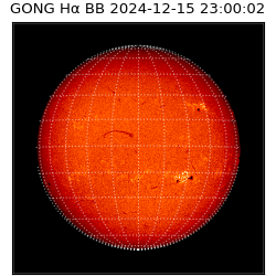 gong - 2024-12-15T23:00:02