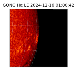 gong - 2024-12-16T01:00:42