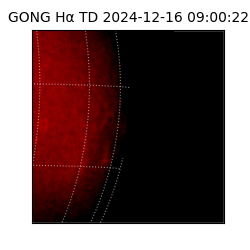 gong - 2024-12-16T09:00:22