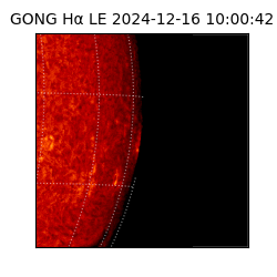 gong - 2024-12-16T10:00:42