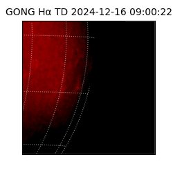 gong - 2024-12-16T09:00:22