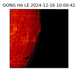 gong - 2024-12-16T10:00:42