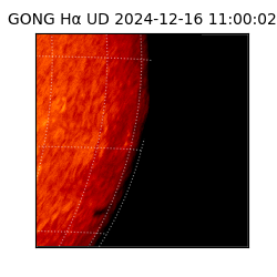 gong - 2024-12-16T11:00:02