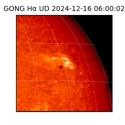 gong - 2024-12-16T06:00:02