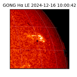 gong - 2024-12-16T10:00:42