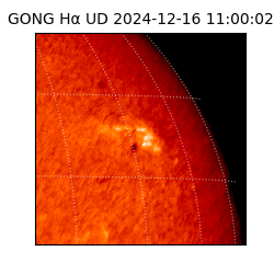 gong - 2024-12-16T11:00:02