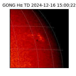 gong - 2024-12-16T15:00:22