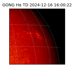 gong - 2024-12-16T16:00:22