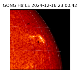 gong - 2024-12-16T23:00:42