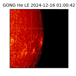 gong - 2024-12-16T01:00:42