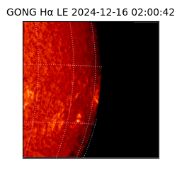 gong - 2024-12-16T02:00:42