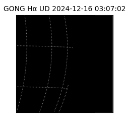 gong - 2024-12-16T03:07:02