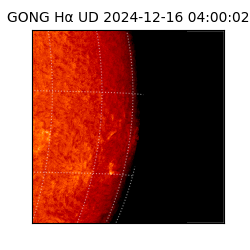 gong - 2024-12-16T04:00:02