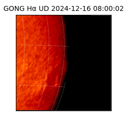 gong - 2024-12-16T08:00:02