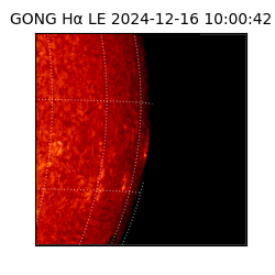 gong - 2024-12-16T10:00:42