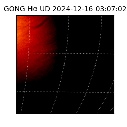 gong - 2024-12-16T03:07:02