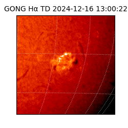 gong - 2024-12-16T13:00:22