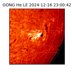 gong - 2024-12-16T23:00:42