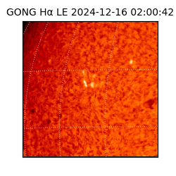 gong - 2024-12-16T02:00:42