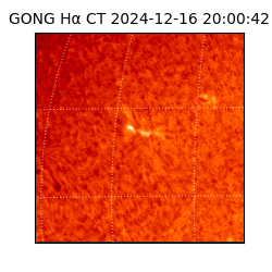 gong - 2024-12-16T20:00:42