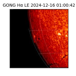 gong - 2024-12-16T01:00:42