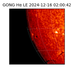 gong - 2024-12-16T02:00:42