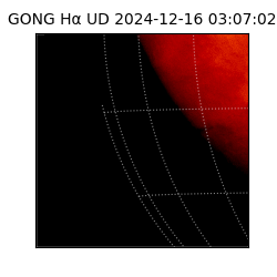 gong - 2024-12-16T03:07:02