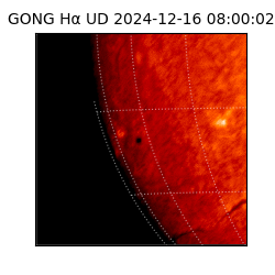 gong - 2024-12-16T08:00:02